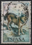 Stamps Spain -  Fauna hispanica (Lobo)