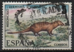 Stamps Spain -  Fauna hispanica (Moloncillo)