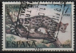 Stamps Spain -  Fauna hispanica (Gineta)