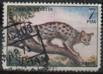 Stamps Spain -  Fauna hispanica (Gineta)