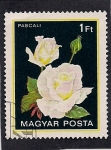 Stamps Hungary -  Flor