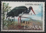 Stamps Spain -  Cigüeña negra