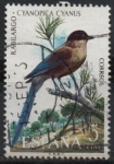 Stamps Spain -  Rabilargo