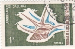 Stamps Ivory Coast -  pez gallina
