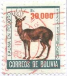 Stamps Bolivia -  Fauna en Peligro