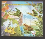 Stamps Romania -  Lacerta viridis