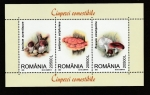 Sellos de Europa - Rumania -  Laetiporus sulphureus