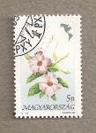 Stamps Hungary -  Flores de America:Mandevilla splendens