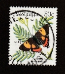 Stamps Australia -  Mariposa Chlorinda