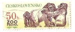 Stamps Czechoslovakia -  50 Aniv. del zoo. Gorilas.