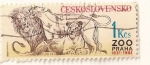 Stamps Czechoslovakia -  50 aniv. del zoo. Leones.