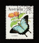 Sellos de Oceania - Australia -  Mariposa Ulysses