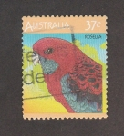 Sellos de Oceania - Australia -  Ave rosella