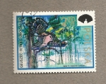 Stamps Poland -  Urogallo