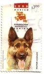 Stamps Mexico -  Exposicion Mundial Canina