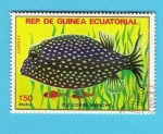 Stamps Africa - Equatorial Guinea -  PEZ  COFRE  MANCHA