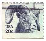 Stamps United States -  Goat