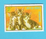 Stamps Equatorial Guinea -  GATOS  EUROPEOS