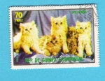 Stamps Equatorial Guinea -  GATOS  GUEPARDOS