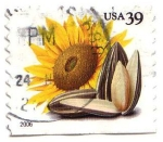 Stamps United States -  Sunflower