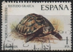 Stamps Spain -  Fauna Hispanica 