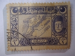 Stamps Turkey -  Mehmed V - Mapa de Dardanelles - Serie: 1917/8 Vienna