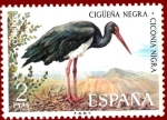 Stamps Spain -  Edifil 2135 Cigüeña negra 2 NUEVO