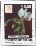 Sellos de America - Bolivia -  Flora Boliviana