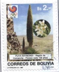 Stamps Bolivia -  Flora Boliviana
