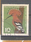 Stamps Germany -  RESERVADO MIGUELPro Juventud Pajáros Y273 