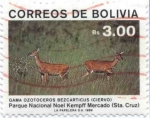 Sellos de America - Bolivia -  Parque Nacional Noel Kempff Mercado