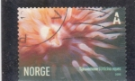 Stamps Norway -  esponja