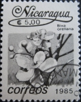 Sellos de America - Nicaragua -  Flower
