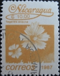 Sellos de America - Nicaragua -  Flower