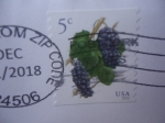 Stamps United States -  Uvas - Racimo de Uvas.Serie: Frutas.