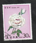 Stamps North Korea -  1523 - Rosa