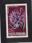 Sellos de Europa - Rumania -  Flor