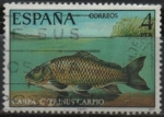 Stamps Spain -  Carpa