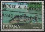 Sellos de Europa - Espaa -  Barbo