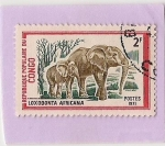 Stamps Democratic Republic of the Congo -  Elefantes