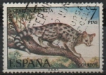 Stamps Spain -  Fauna Hispanica Gineta