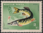 Stamps Hungary -  1914-14 congreso de la confederación internacional de pesca deportiva en Budapest, pez esox lucius