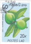 Stamps Laos -  FRUTA-GUAYAVA