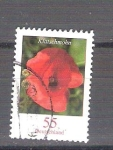 Stamps Germany -  amapola Y2472