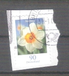 Stamps Germany -  narciso Y2515 adh