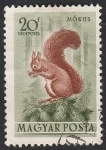 Stamps Hungary -  136 - Ardilla