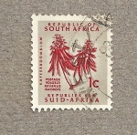 Sellos del Mundo : Africa : South_Africa : Flor
