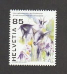 Stamps Switzerland -  Año Internacional de la Biodiversidad