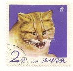 Stamps North Korea -  15 Aniv. del zoo de Pyongyang. Gato salvaje.