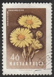 Stamps Hungary -  1251 - Flor